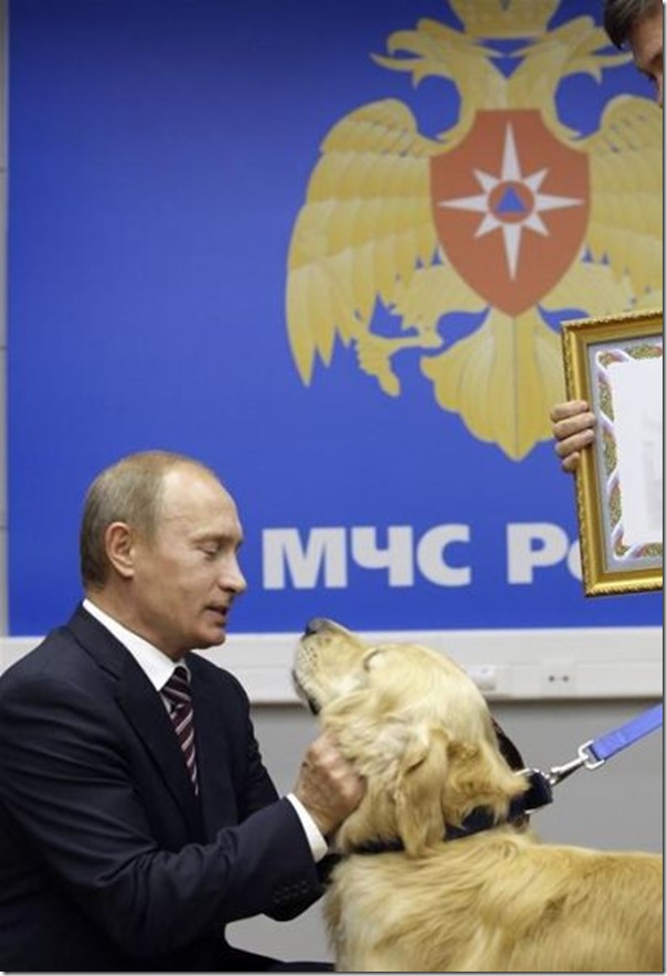 Vladimir Putin e o seu amor pelos animais (18)