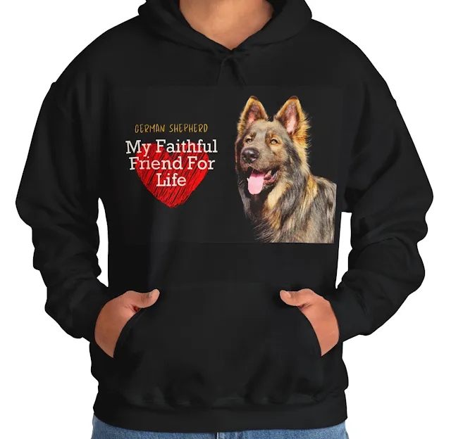 A Hoodie With Old-fashioned Extra Large Smoke Is A Dark Sable (Blue) Tall, Have Big Head, Straight Backs German Shepherd