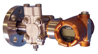 Flange mount differential pressure transmitter for liquid level measurement