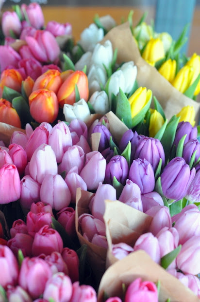 a rainbow of pretty tulip bunches