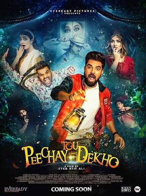 Peechay Tou Dekho (2022) Urdu Pre-DVDRip 1080p | 720p | 480p x264 1.6Gb | 780Mb | 300Mb