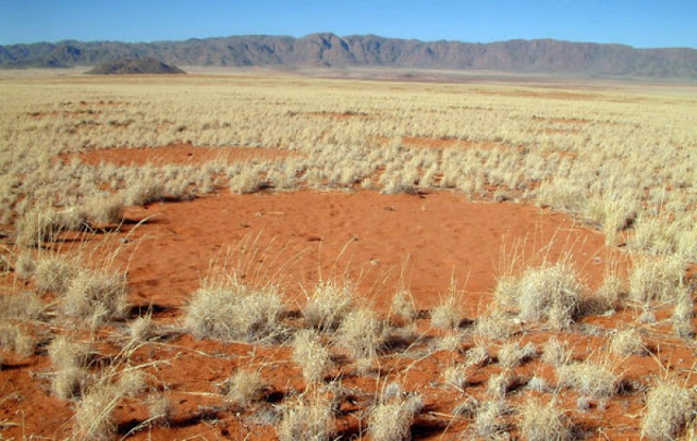 Círculos de las Hadas, Namibia, África