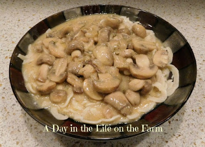 Mushroom Stroganoff