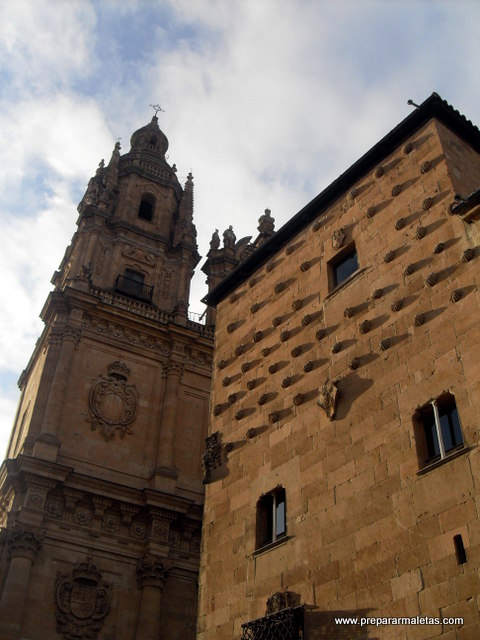 Casa de las conchas Salamanca