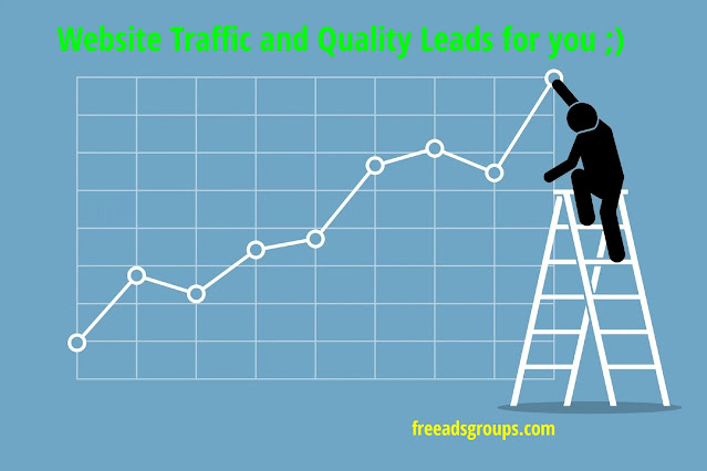 website traffic and quality leads