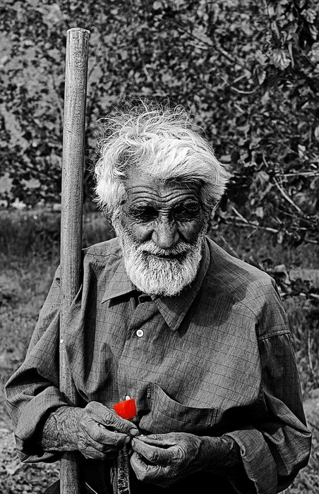 Old man and the flower