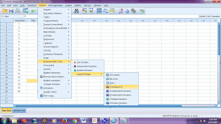 Uji Normalitas dengan IBM SPSS Statistic21