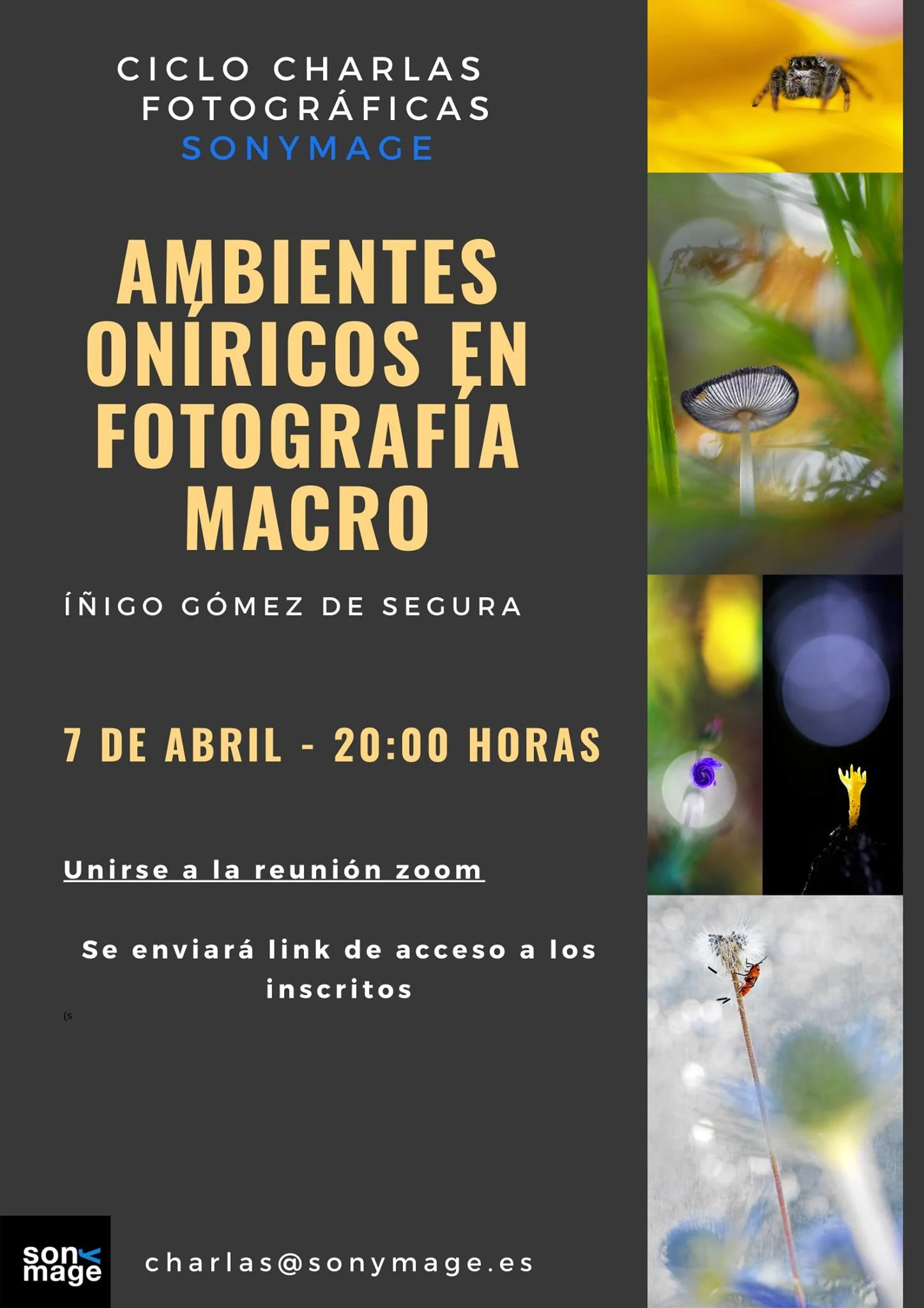 Ambiente Oníricos en Fotografía Macro - Íñigo Gomez de Segura