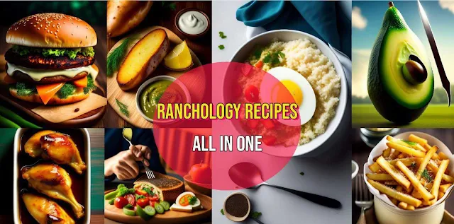 RANCHOLOGY RECIPES ALL IN ONE IN SEASONING 2023