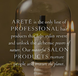 Arete haircare collection