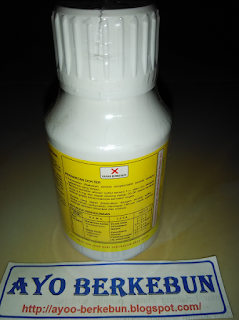 jual basileum murah