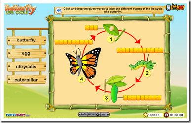 Preschool Alphabet: B is for Butterfly