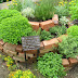 Herb Garden Design Pictures