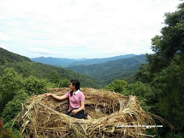 [http://FindWisata.blogspot.com] Wisata Unik Spot Foto Rumah Pohon Sangkar Burung Sidikalang