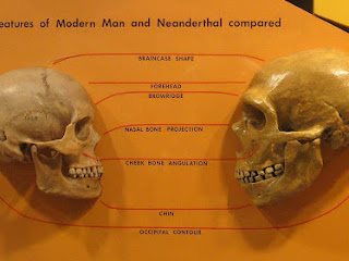 Neandertal mi yoksa Neanderthal mi?