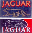 Jaguar (oud)