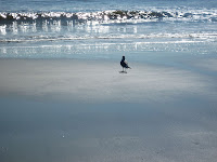 Lone Bird Beach Hilton Head