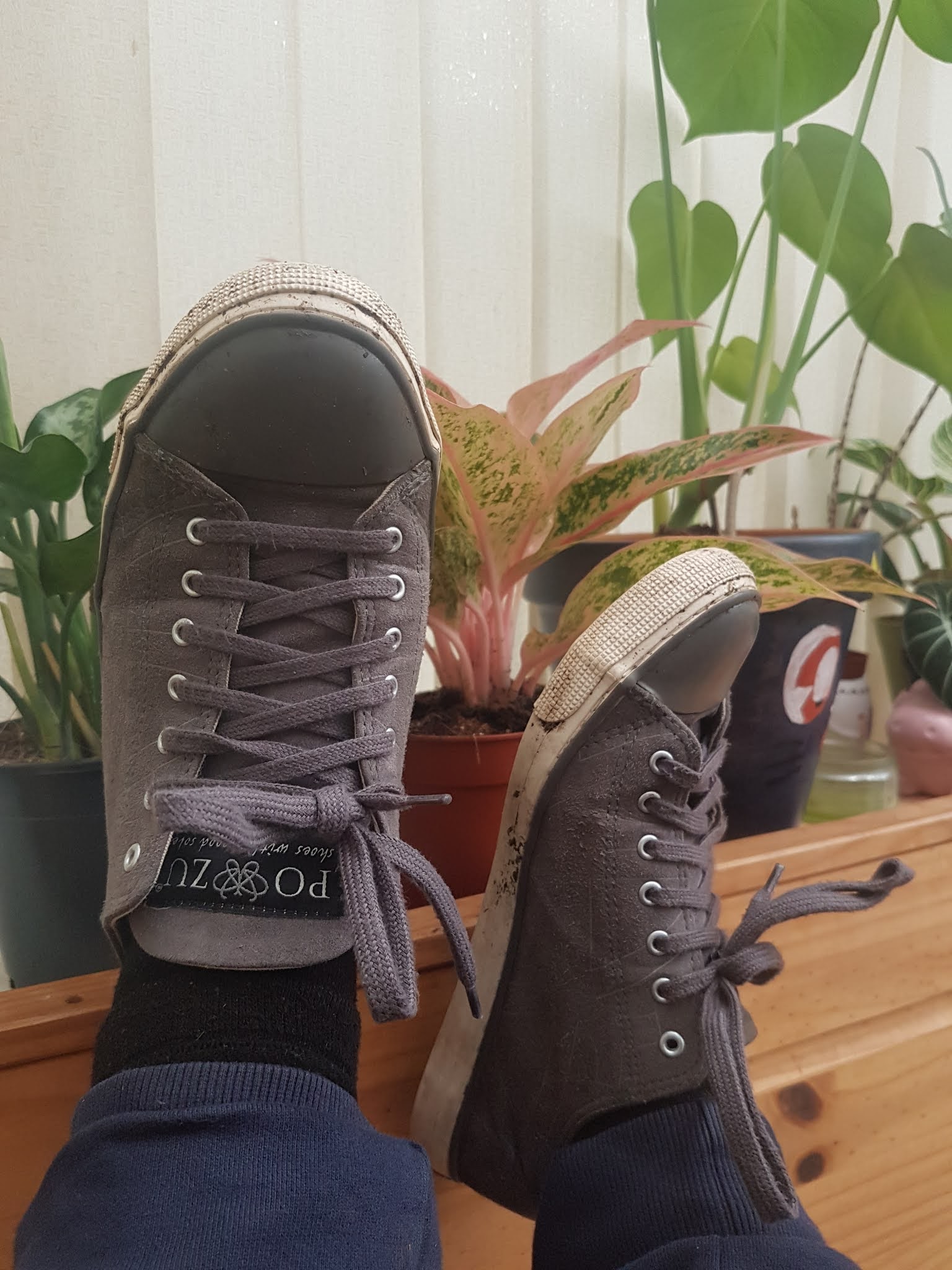 grey vegan sneakers kicked up next to houseplants