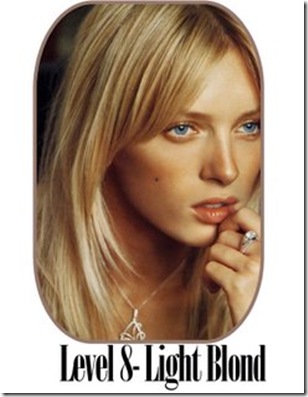 The difference between Professional Hair Color & "public" Hair Color (for 