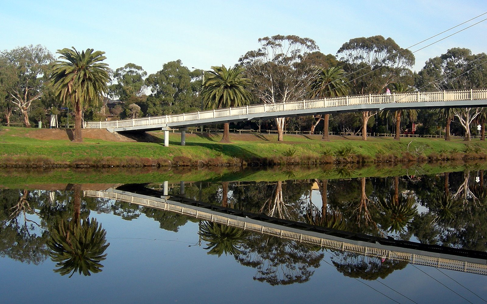 A river, a tree and a bridge