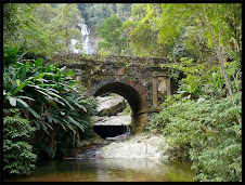 Cascatinha/ Floresta da Tijuca - RJ