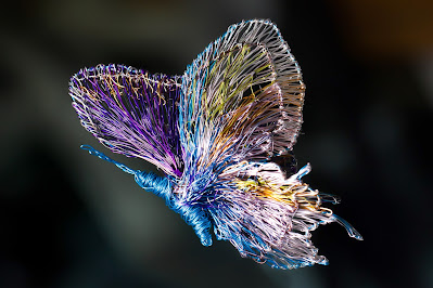 Wire sculpture butterfly