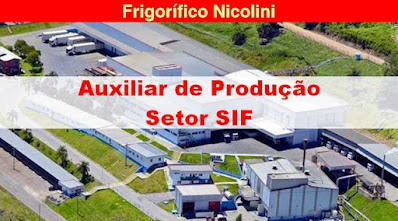 Frigorífico Nicolini seleciona Auxiliar de Produção em Garibaldi
