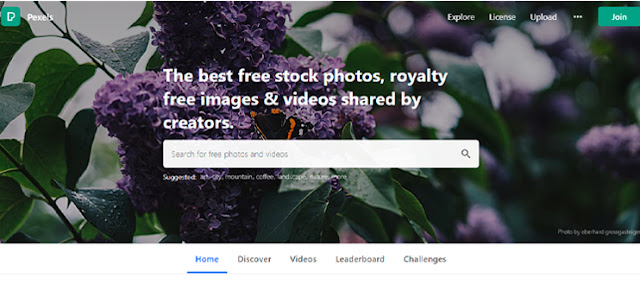 Pexels - Free Stock Photos Search