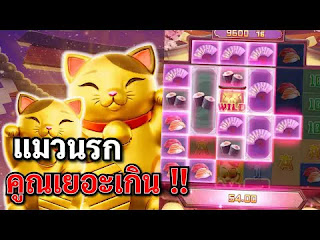 สล็อต เว็บตรง ที่คนเล่นเยอะที่สุด