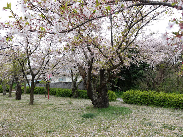 鳥取県西伯郡大山町御来屋　名和公園