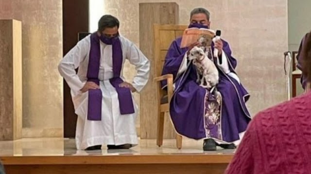 Padre celebra missa com cachorro doente no colo; entenda