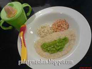 Nasi Tim Saring Brokoli Untuk  Bayi  Gudang Resep  Masakan