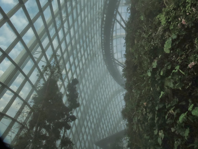 Gardens by the bay cloud forest