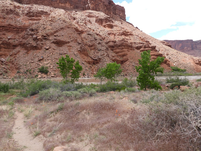 Hwy 128 Scenic Byway