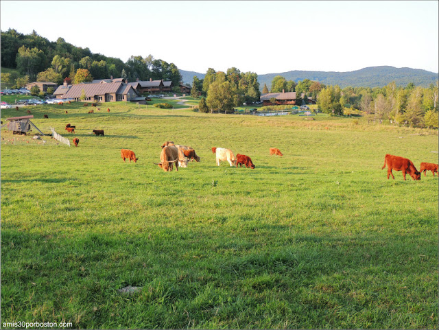 Paisajes del Trapp Family Lodge en Stowe, Vermont