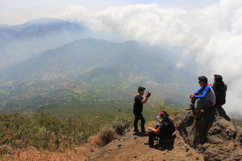 Inspirasi Terkini Curuk Indah Gunung Padang, Lukisan Pohon