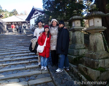 Strolling along Nara Park