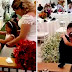 Groom Suddenly Knelt Before Fiancée’s 6-year-old Daughter, What Happens Next Brought Me To Tears