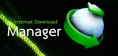 Internet Download Manager Download for Windows 11