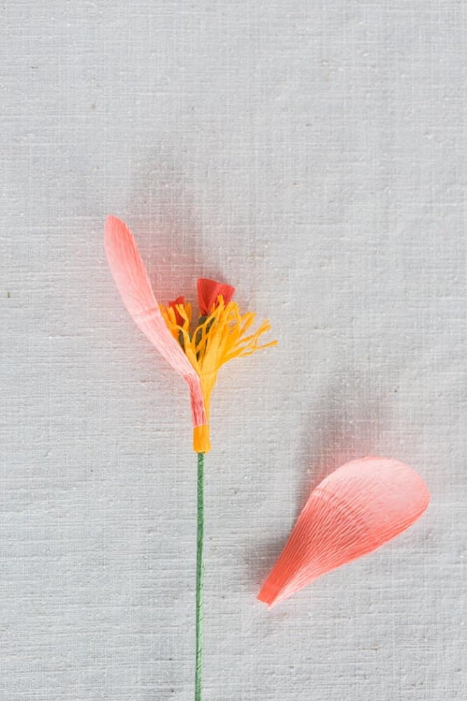 DIY Coral Charm Peony Paper Flowers