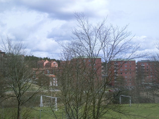 CIMG7731