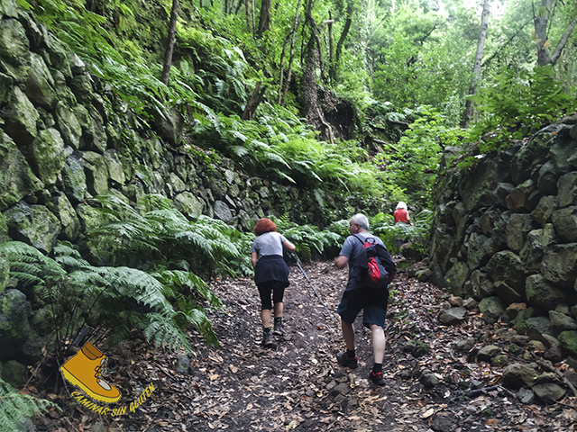 Caminando hacia el Mirador del Espigón Atravesado Bosque de los Tilos