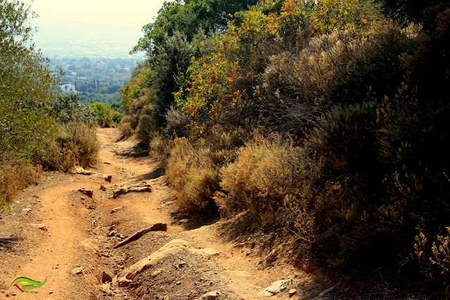 Sendero de la Cuesta de la Traición-El Villar (SL-A-91)