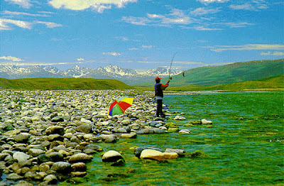 Deosai Plateau Pakistan Wallpapers