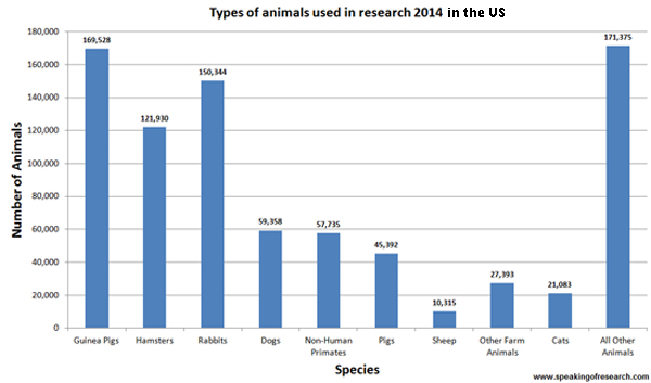 Animals used in research in the US