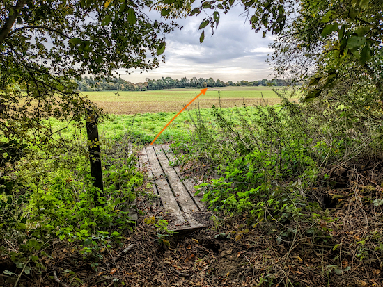 Leave the woodland then Head SE across the field