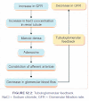 Glomerular Filtration & Factors Affecting Glomerular Filteration Rate | Pdf Download