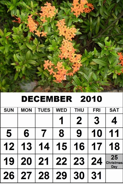 december 2010 calendar template. Free December 2010 Singapore