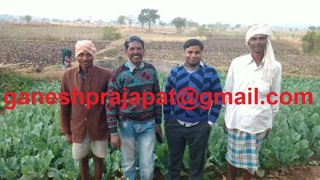 Indian agriculture, Indian agriculture problem, Indian agriculture policy, Minimum Support Price, Agriculture, Doubling farmer income,  Agrotech agriculture consultancy, agriculture consultancy, agriculture consultancy Jaipur, agriculture consultancy Rajasthan,