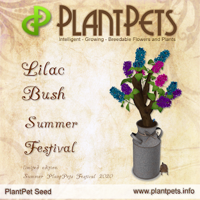 Lilac Bush Summer Festival